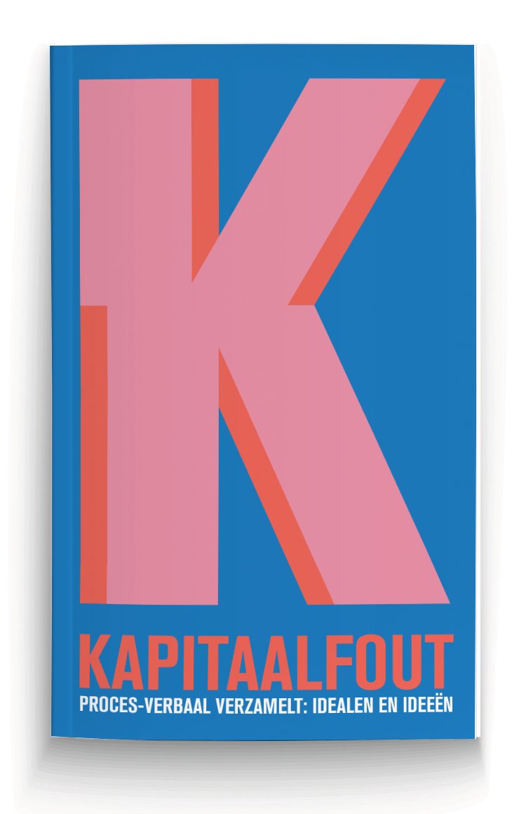 Kaft van Kapitaalfout